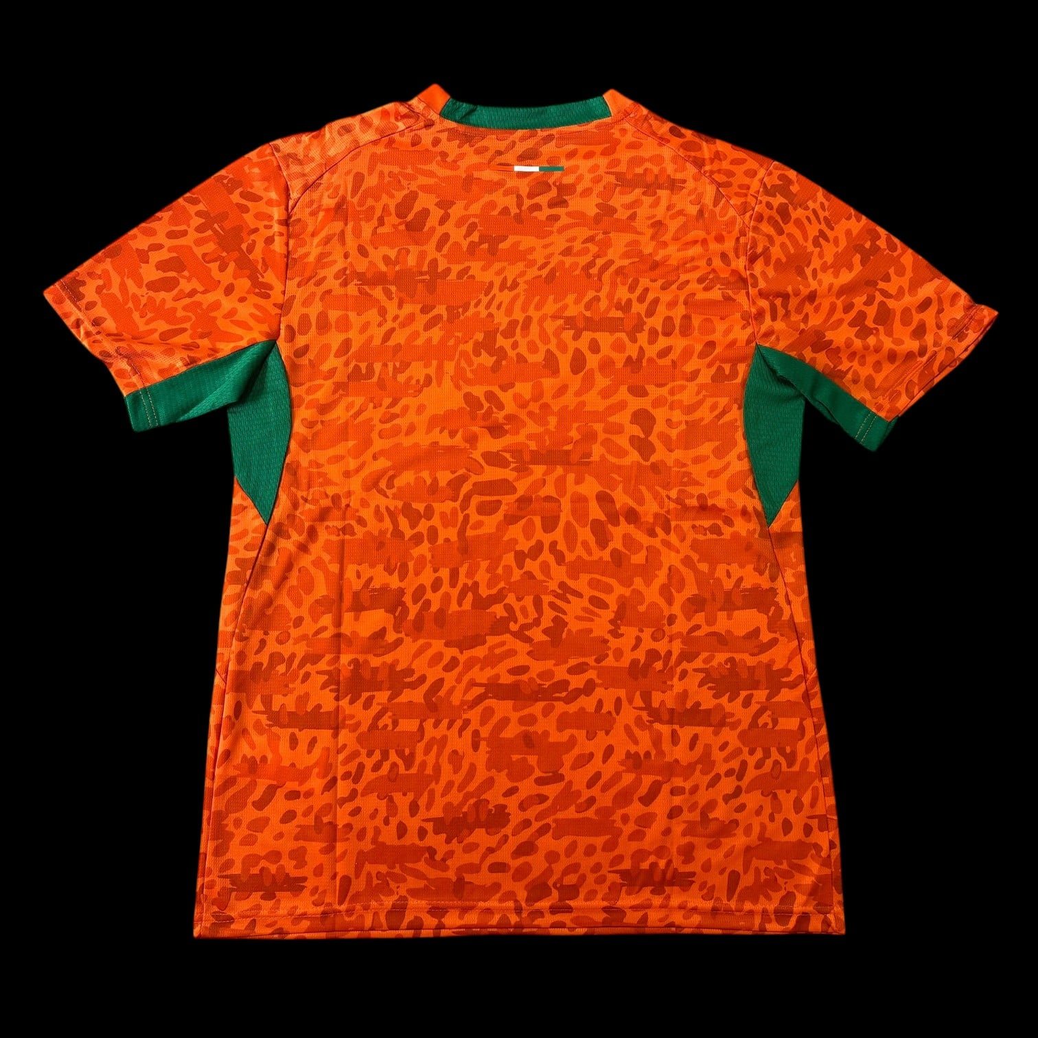 Cote d’Ivoire Maillot Domicile 26/27 – Image 2