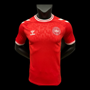 Danemark Maillot Domicile 24/25