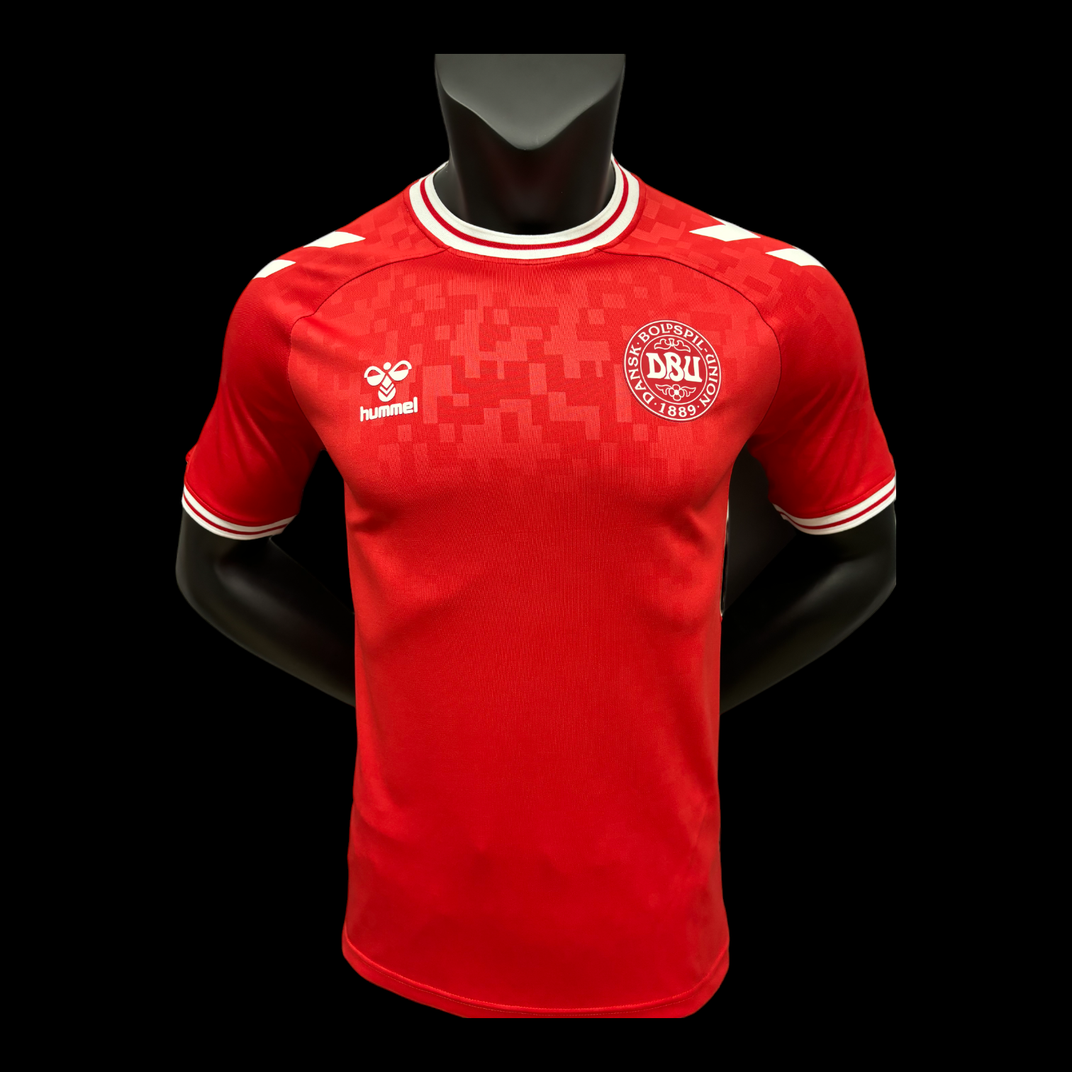 Danemark Maillot Domicile 24/25