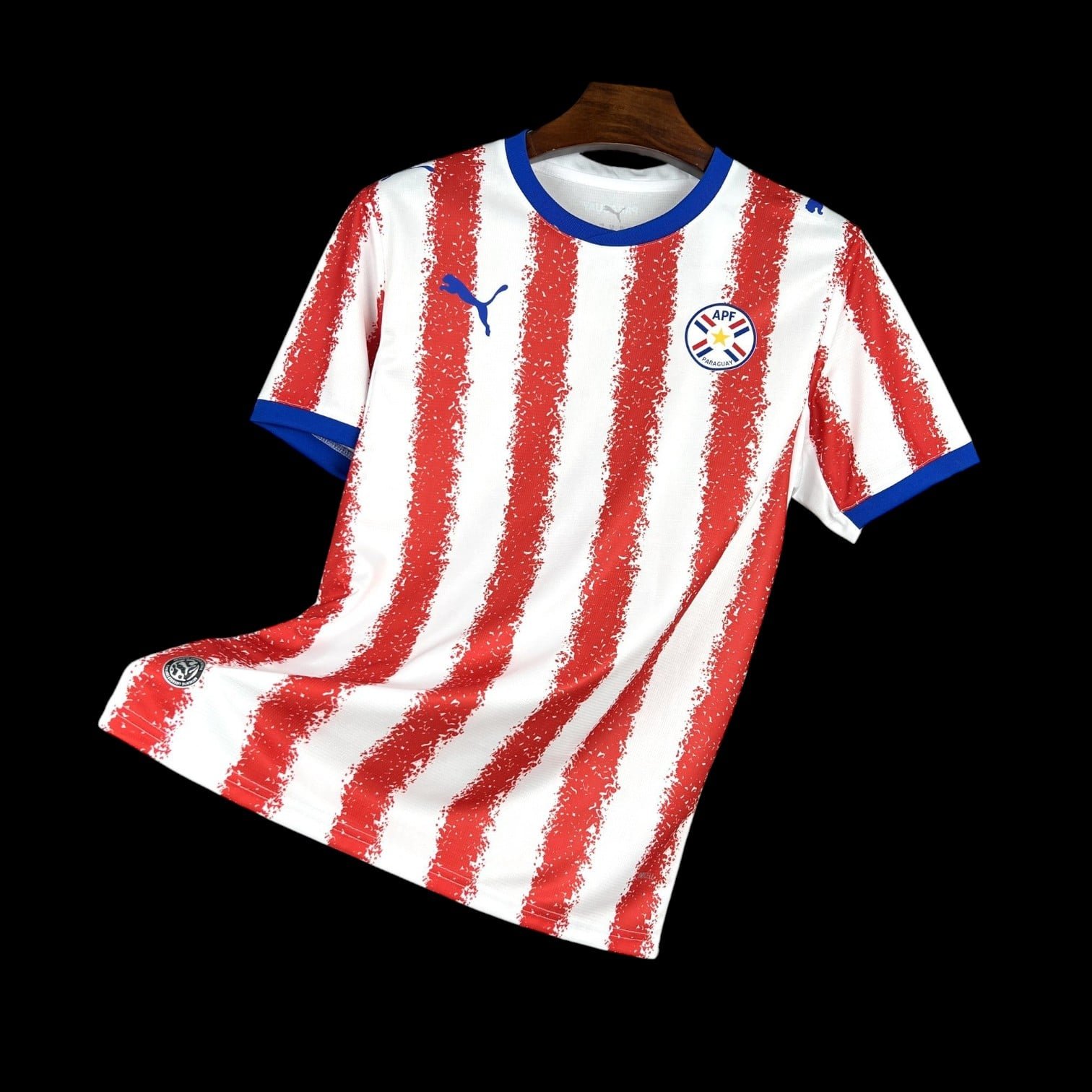 Paraguay Maillot Domicile 26/27